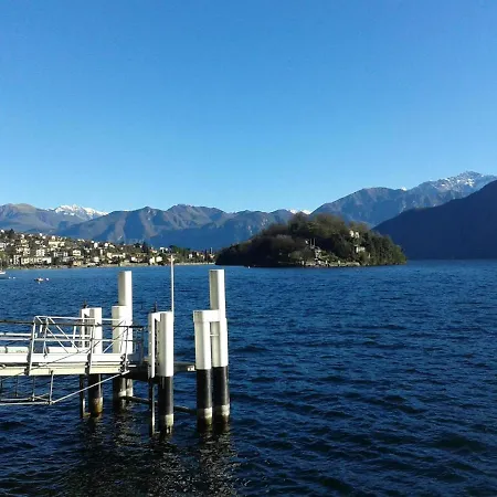 Gardenia 오수키오